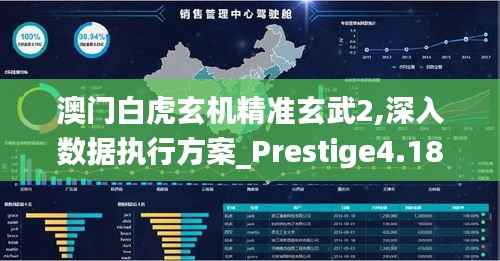 澳门白虎玄机精准玄武2,深入数据执行方案_Prestige4.181