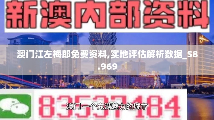 澳门江左梅郎免费资料,实地评估解析数据_S8.969