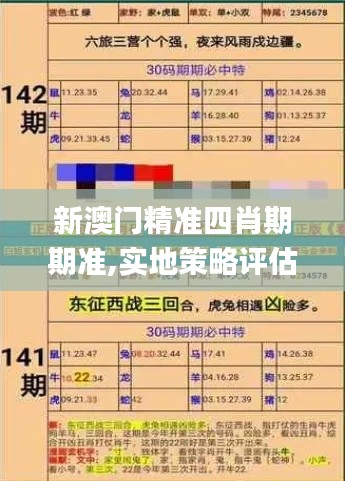 新澳门精准四肖期期准,实地策略评估数据_nShop9.414