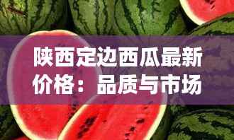 陕西定边西瓜最新价格:品质与市场的完美邂逅