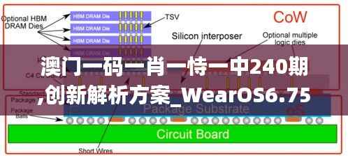 澳门一码一肖一恃一中240期,创新解析方案_WearOS6.754