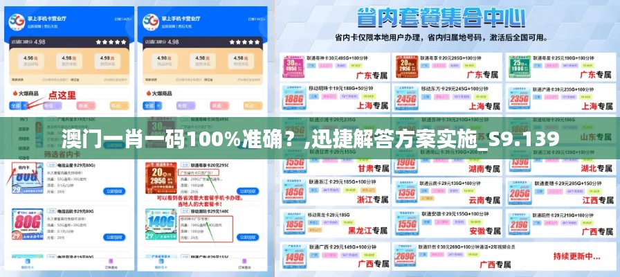 澳门一肖一码100%准确?,迅捷解答方案实施_S9.139