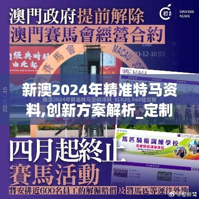 新澳2024年精准特马资料,创新方案解析_定制版1.320