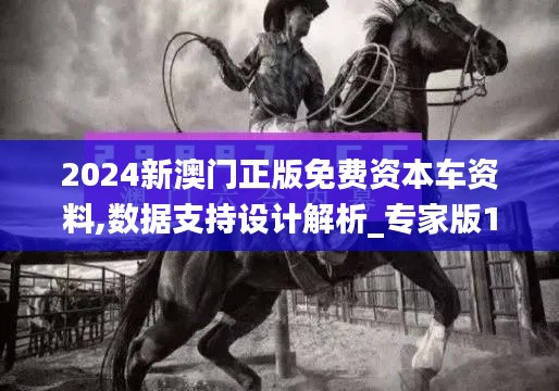 2024新澳门正版免费资本车资料,数据支持设计解析_专家版1.418
