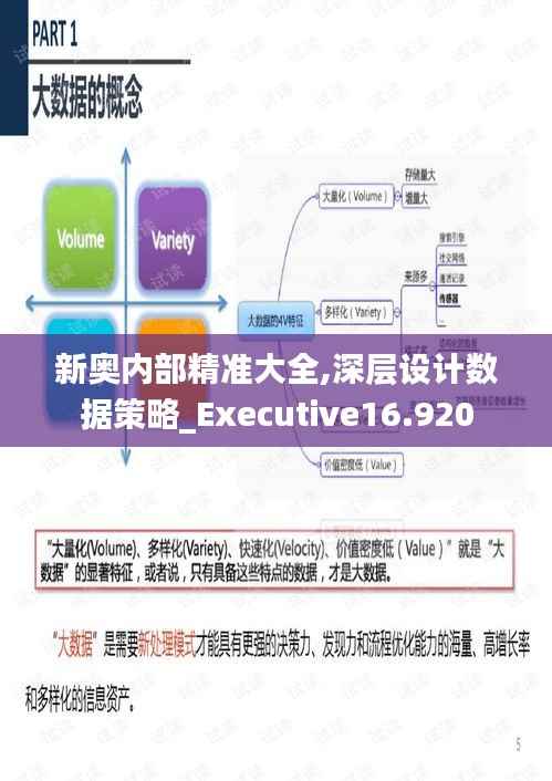 新奥内部精准大全,深层设计数据策略_Executive16.920