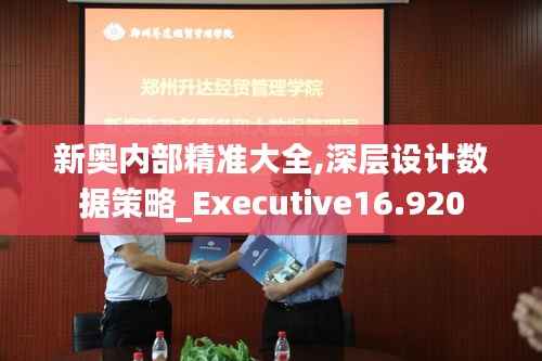 新奥内部精准大全,深层设计数据策略_Executive16.920