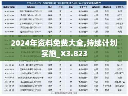 2024年资料免费大全,持续计划实施_X3.823