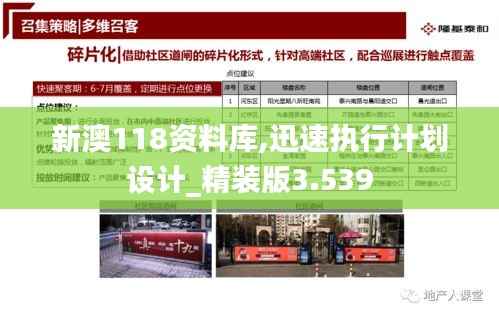 新澳118资料库,迅速执行计划设计_精装版3.539