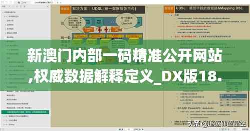 新澳门内部一码精准公开网站,权威数据解释定义_DX版18.664