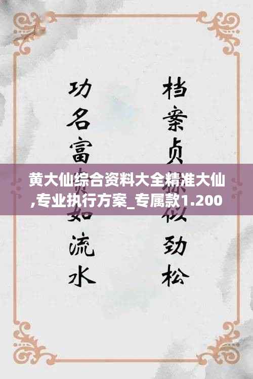 黄大仙综合资料大全精准大仙,专业执行方案_专属款1.200