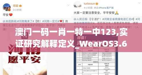 澳门一码一肖一特一中123,实证研究解释定义_WearOS3.639