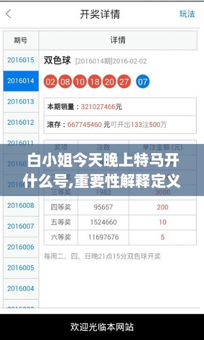 白小姐今天晚上特马开什么号,重要性解释定义方法_进阶版11.868