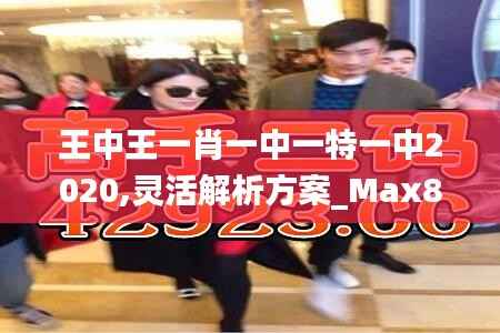 王中王一肖一中一特一中2020,灵活解析方案_Max8.208