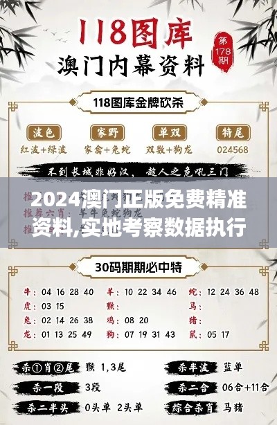 2024澳门正版免费精准资料,实地考察数据执行_AR版2.735