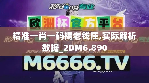 精准一肖一码揭老钱庄,实际解析数据_2DM6.890