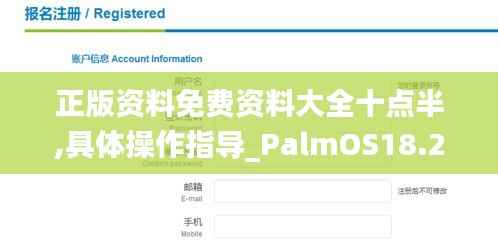 正版资料免费资料大全十点半,具体操作指导_PalmOS18.205