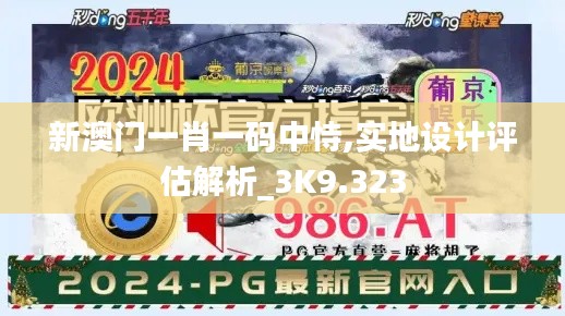 新澳门一肖一码中恃,实地设计评估解析_3K9.323
