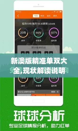 新澳版精准单双大全,现状解读说明_钻石版14.963