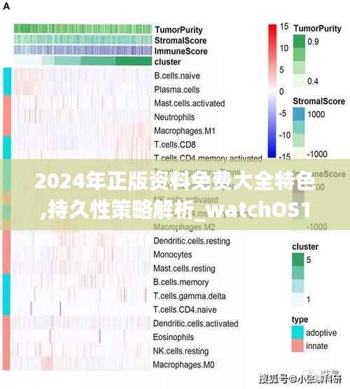 2024年正版资料免费大全特色,持久性策略解析_watchOS1.904