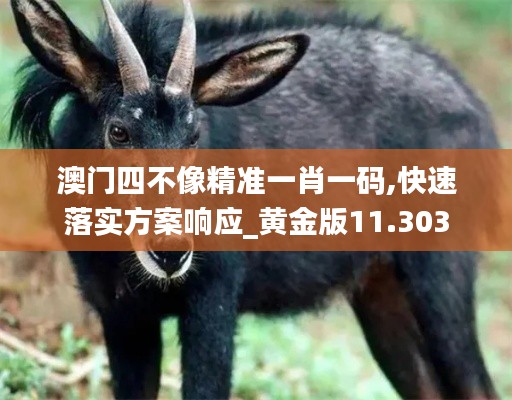 澳门四不像精准一肖一码,快速落实方案响应_黄金版11.303