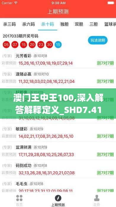 澳门王中王100,深入解答解释定义_SHD7.415