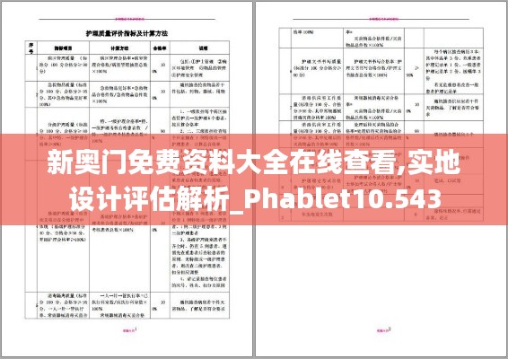 新奥门免费资料大全在线查看,实地设计评估解析_Phablet10.543