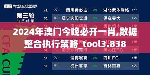2024年澳门今晚必开一肖,数据整合执行策略_tool3.838