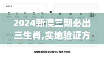 2024新澳三期必出三生肖,实地验证方案策略_安卓款1.484