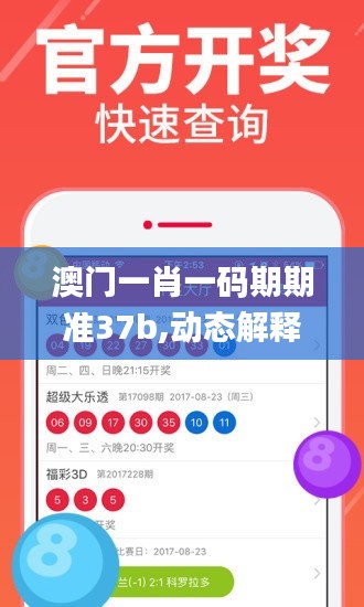 澳门一肖一码期期准37b,动态解释词汇_静态版18.242