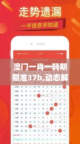 澳门一肖一码期期准37b,动态解释词汇_静态版18.242