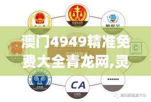 澳门4949精准免费大全青龙网,灵活解析执行_移动版16.688