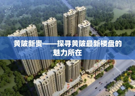 黄陂新贵——探寻黄陂最新楼盘的魅力所在