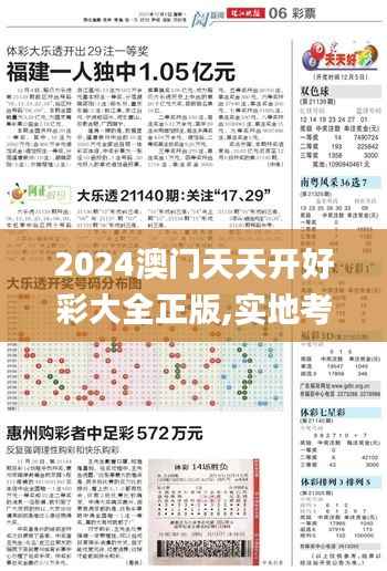 2024澳门天天开好彩大全正版,实地考察数据应用_W1.144