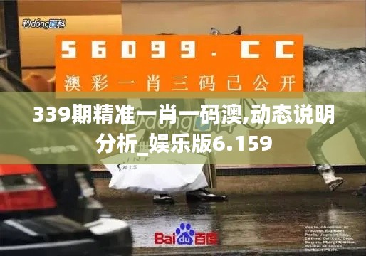 339期精准一肖一码澳,动态说明分析_娱乐版6.159