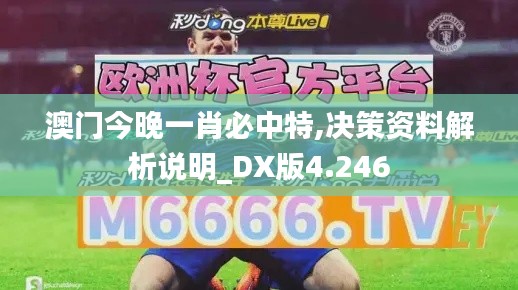 澳门今晚一肖必中特,决策资料解析说明_DX版4.246