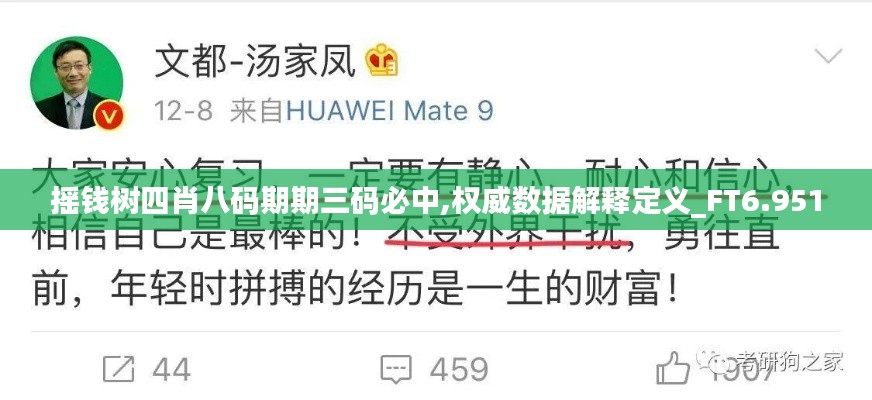 摇钱树四肖八码期期三码必中,权威数据解释定义_FT6.951