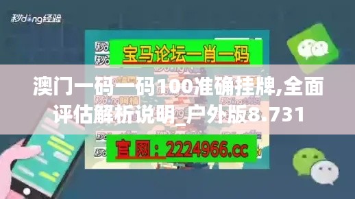 澳门一码一码100准确挂牌,全面评估解析说明_户外版8.731