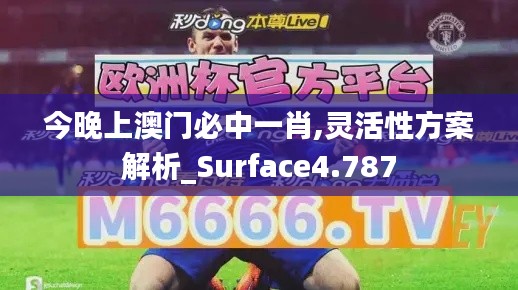 今晚上澳门必中一肖,灵活性方案解析_Surface4.787