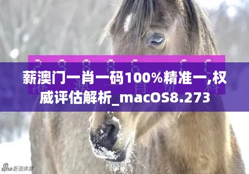 薪澳门一肖一码100%精准一,权威评估解析_macOS8.273