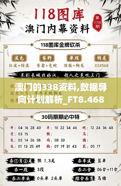 澳门的338资料,数据导向计划解析_FT8.468