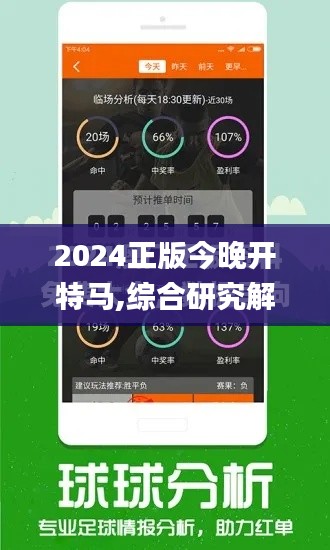 2024正版今晚开特马,综合研究解释定义_储蓄版2.132