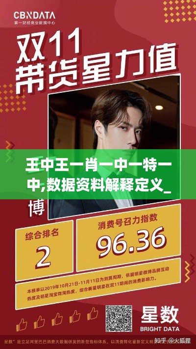 王中王一肖一中一特一中,数据资料解释定义_Surface8.122