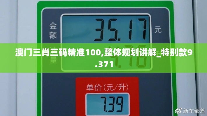 澳门三肖三码精准100,整体规划讲解_特别款9.371