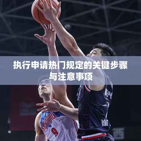 执行申请热门规定的关键步骤与注意事项