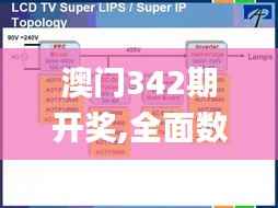 澳门342期开奖,全面数据执行方案_PalmOS5.236