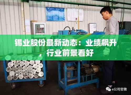 锡业股份最新动态:业绩飙升,行业前景看好