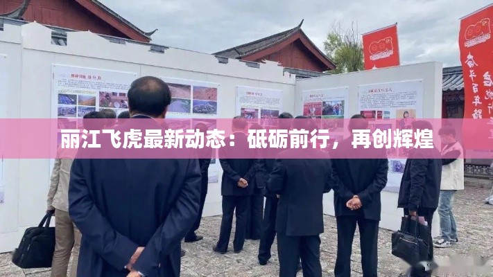 丽江飞虎最新动态:砥砺前行,再创辉煌