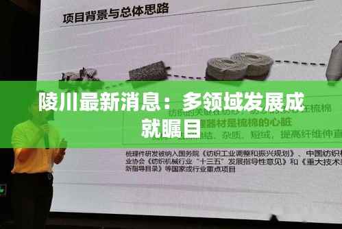 陵川最新消息:多领域发展成就瞩目