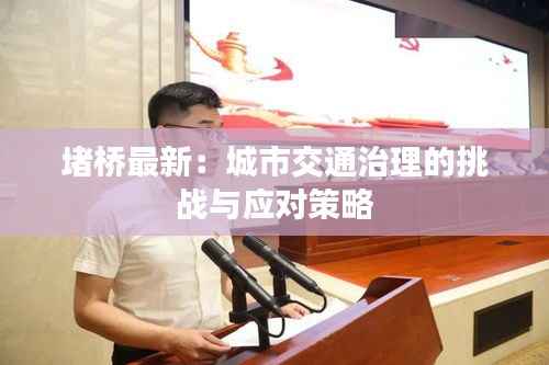 堵桥最新：城市交通治理的挑战与应对策略