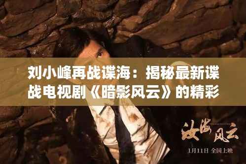 刘小峰再战谍海：揭秘最新谍战电视剧《暗影风云》的精彩看点